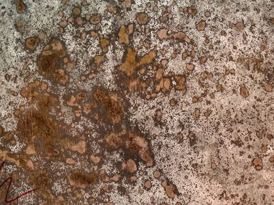 Professional basement flood restoration services services in Warner Robins